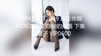 [MP4]STP32249 麻豆传媒 MD0200-2 隐秘的角落 下集 夏晴子 VIP0600