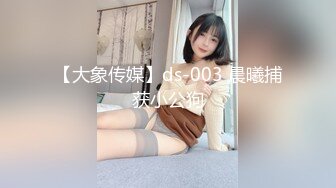 【大象传媒】ds-003 晨曦捕获小公狗