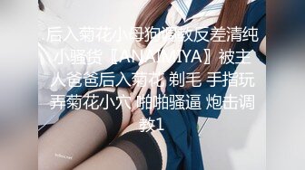 [FHD/5.5GB] [IPIT-023]高雅大小姐最喜欢AV和不知羞耻的事。市川爱茉AV出道 [中文字幕]