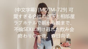 MDX-0012_亞博欠債空姐私下接客肉體償還官网-罗瑾萱