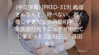 (中文字幕) [PRED-319] 義母さんなんて、呼べない。若く美しすぎた父の再婚相手と、家族旅行先でこっそり中出ししまくった2泊3日…。 篠田ゆう