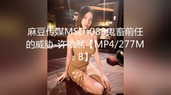 [MP4/ 373M] 新人墨镜少妇！居家炮友操逼！撩起短裙就往逼里怼，抱起来猛操，情趣椅子骑乘，主动上下抽动