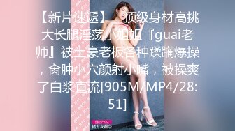 麻豆传媒 ps-023 搭讪传单打工女