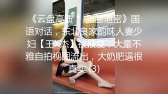 《云盘高质㊙️露脸泄密》国语对话，东北良家韵味人妻少妇【王X杰】被报复，大量不雅自拍视图流出，大奶肥逼很真实 (3)