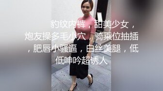 《婚闹》婚前试车 强上新娘.晴儿