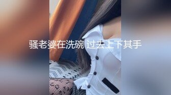 外淑女内骚的少妇