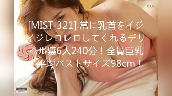 [MIST-321] 常に乳首をイジイジレロレロしてくれるデリヘル嬢6人240分！全員巨乳！平均バストサイズ98cm！