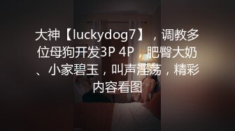 【推特 luckydog7】泡良大神，3P调教艳遇不断，肥臀大奶、小家碧玉，叫声淫荡 (3)