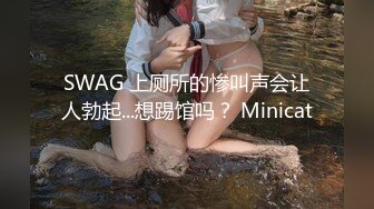 SWAG 上厕所的惨叫声会让人勃起...想踢馆吗？ Minicat