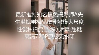 巨乳精靈母娘催眠 1