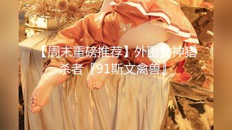 星之迟迟 2023年12月计划C – 明日奈同人女仆