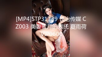 [MP4]STP31739 长治传媒 CZ003 美妻蜜月的爱抚 夏雨荷 VIP0600