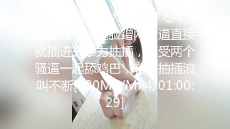 大屁股骚奶子黑丝诱惑颜值也还不错的无敌骚浪贱，让小 哥床上放肆抽插，奶子乱晃叫的骚，后入双插菊花逼逼