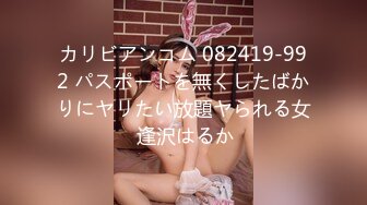 カリビアンコム 082419-992 パスポートを無くしたばかりにヤリたい放題ヤられる女 逢沢はるか