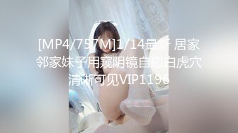 【新片速遞】【精选厕拍】❤️超清4K商场女厕偷拍33位漂亮的小姐姐[6580M/MP4/43:22]