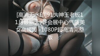 [高清无水印]91大神王老板11月最新大片-会展中心气质美女高媛媛 -1080P超高清完整版