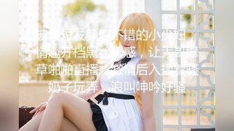 MD-0044 兄妹蕉谈 哥哥的荒诞调教 麻豆传媒映画