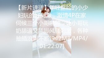 性宠S级美女保险员罗颖-性爱保单