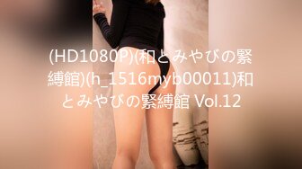 mvo-066(104mvo00066)[alpha]完熟ミセスバーチャオナ66